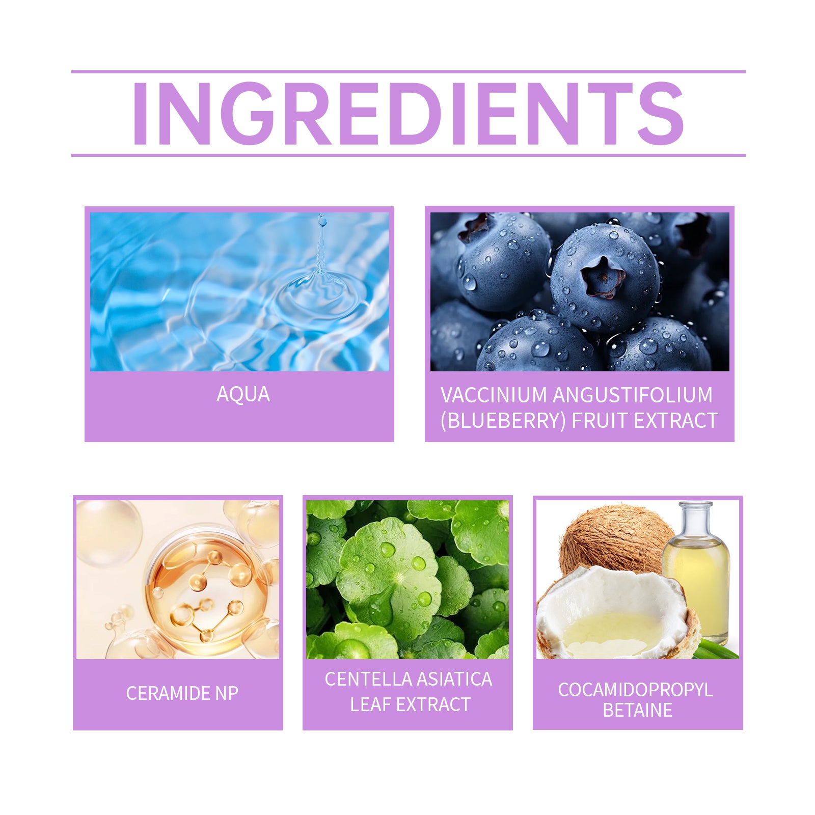 Hoygi Blueberry Flavorful Ceramide Cleansing Gel, Facial Skin Cleansing Moisturizing Hydrating Cleanser 5 7db3f1ea-4822-40b6-9ef0-3db52f03f39a null